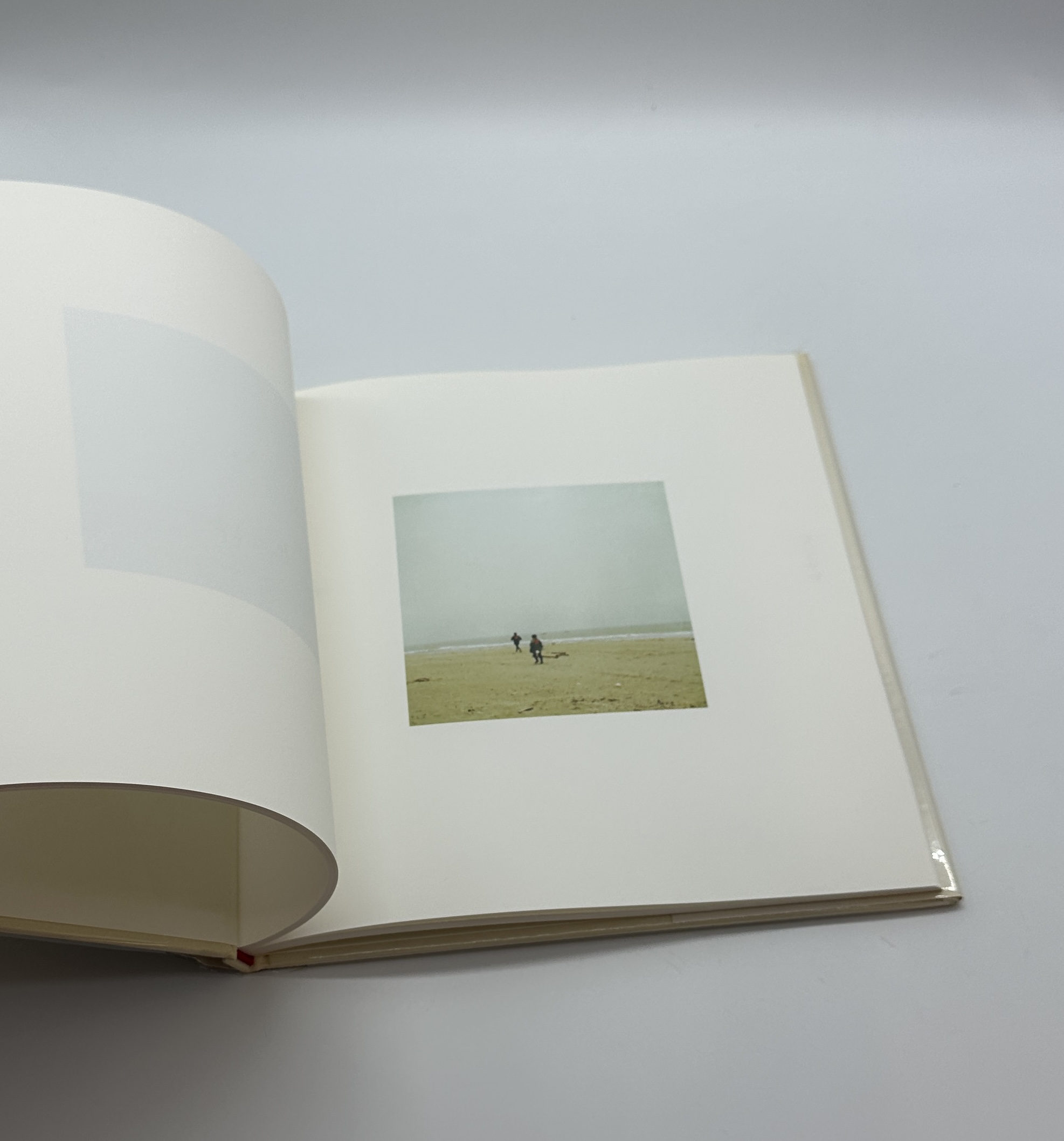 鳥を見る - 画像 (4)