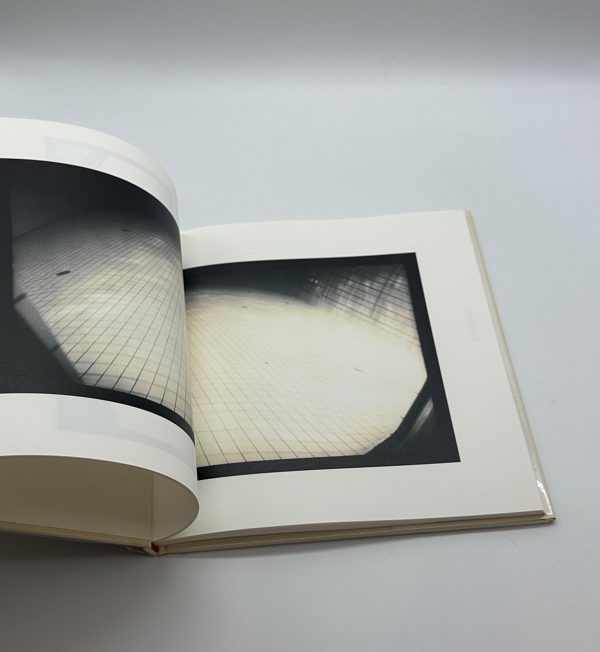 鳥を見る - 画像 (3)