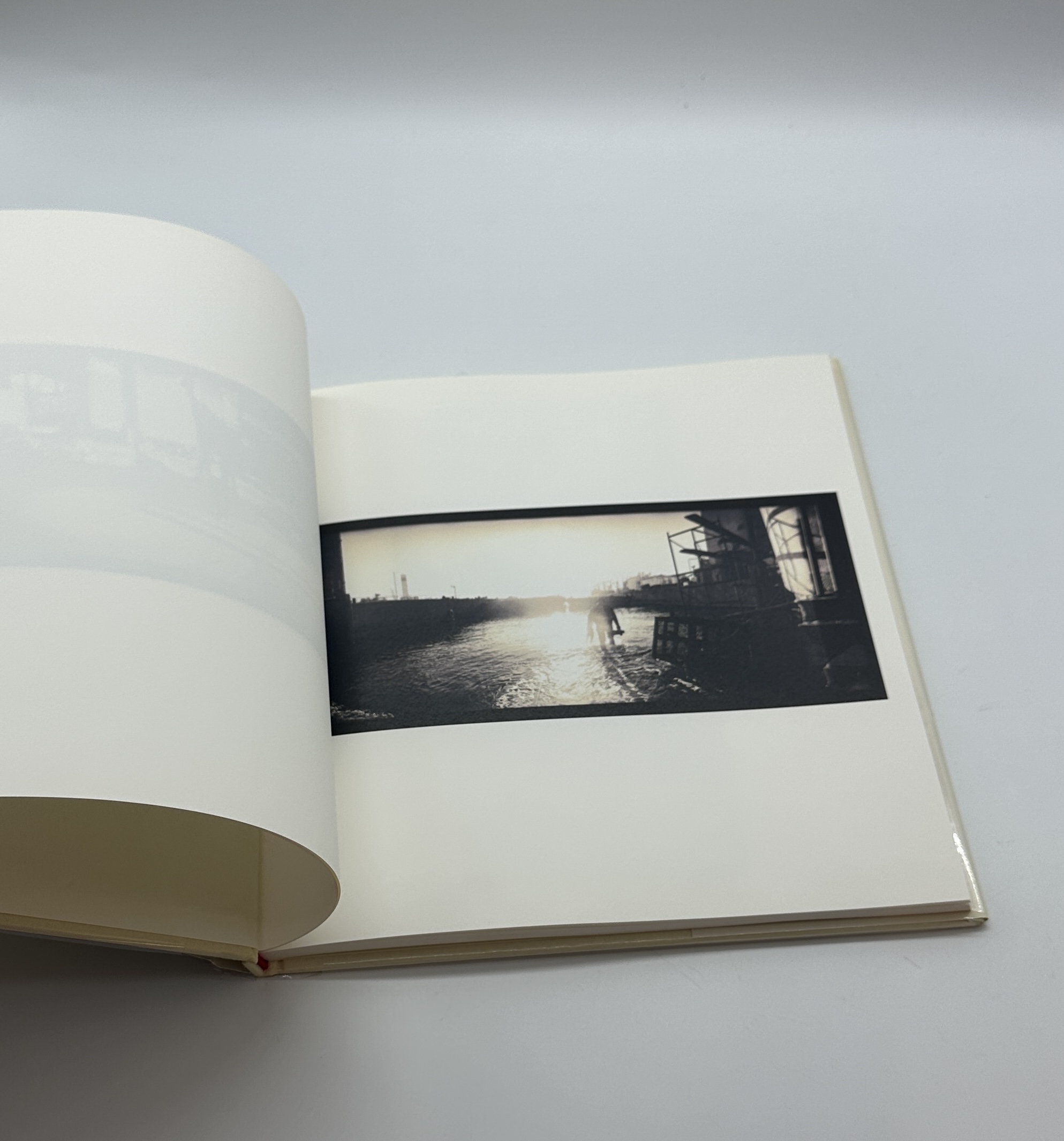 鳥を見る - 画像 (2)