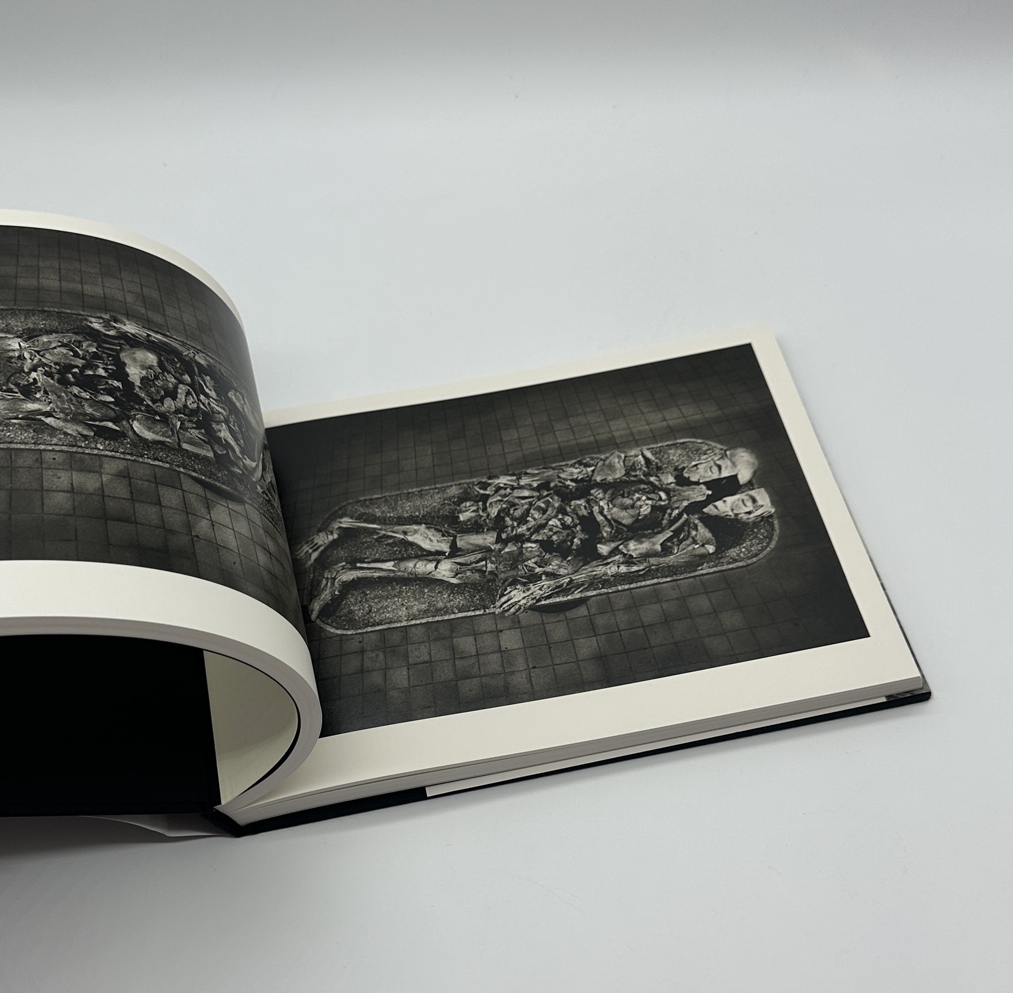 全作品 - 画像 (7)