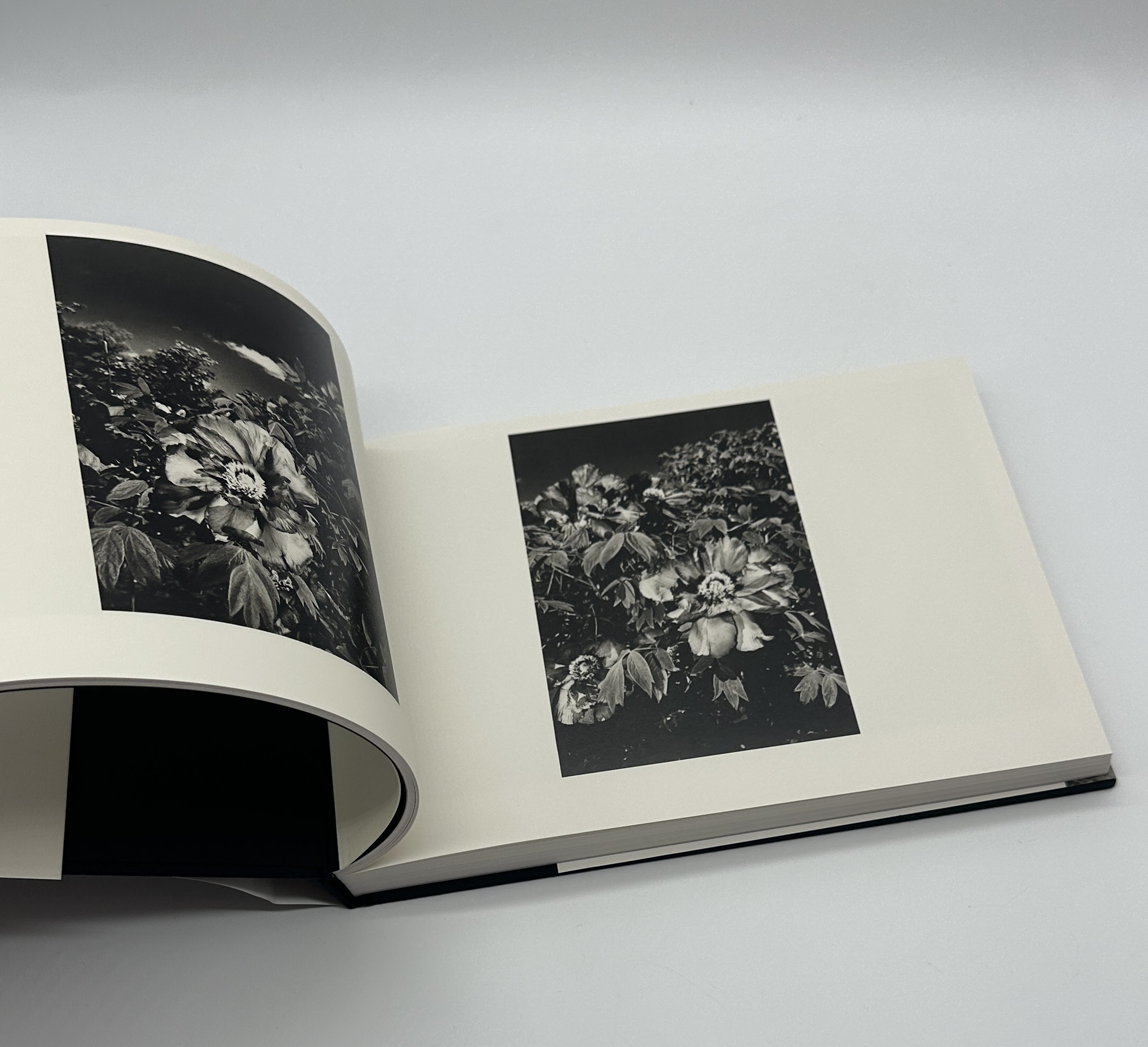 全作品 - 画像 (4)