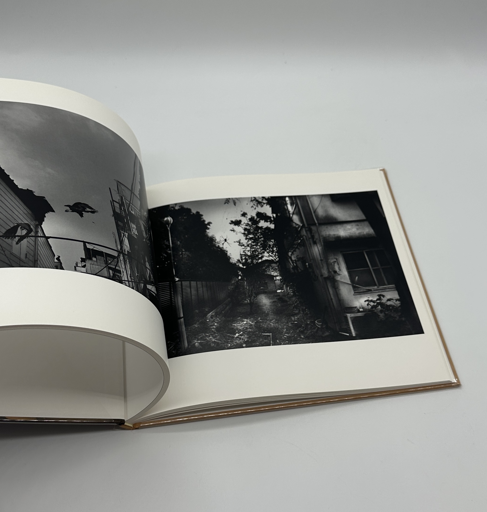 蛞蝓草紙外伝 - 画像 (5)