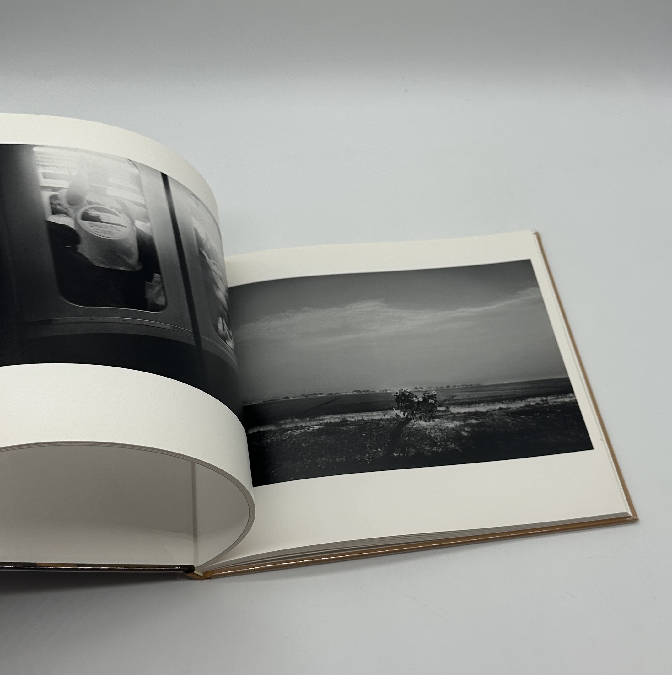 蛞蝓草紙外伝 - 画像 (4)