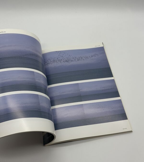 照度　あめつち　影を見る