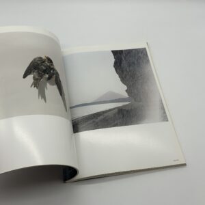 照度　あめつち　影を見る - 画像 (4)