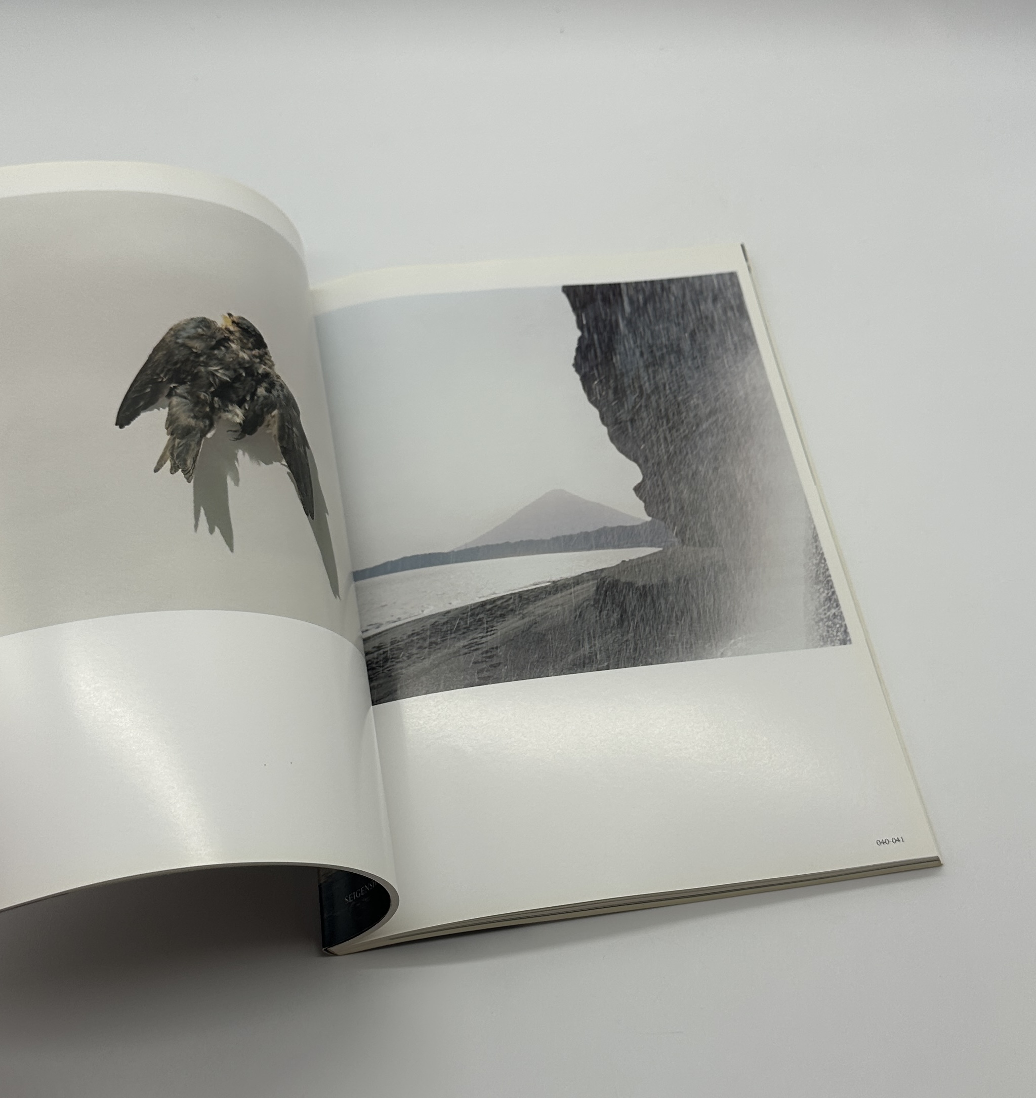 照度　あめつち　影を見る - 画像 (4)