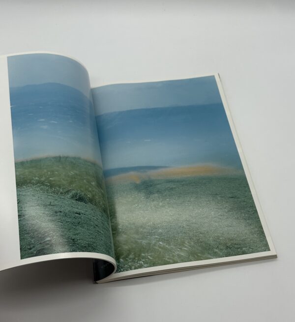 照度　あめつち　影を見る