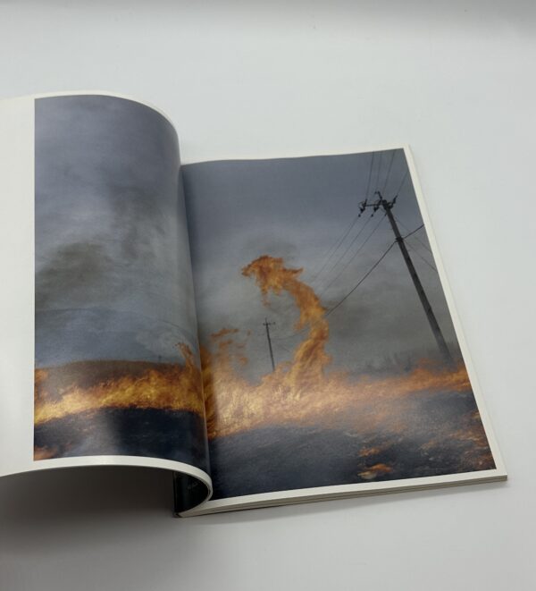 照度　あめつち　影を見る