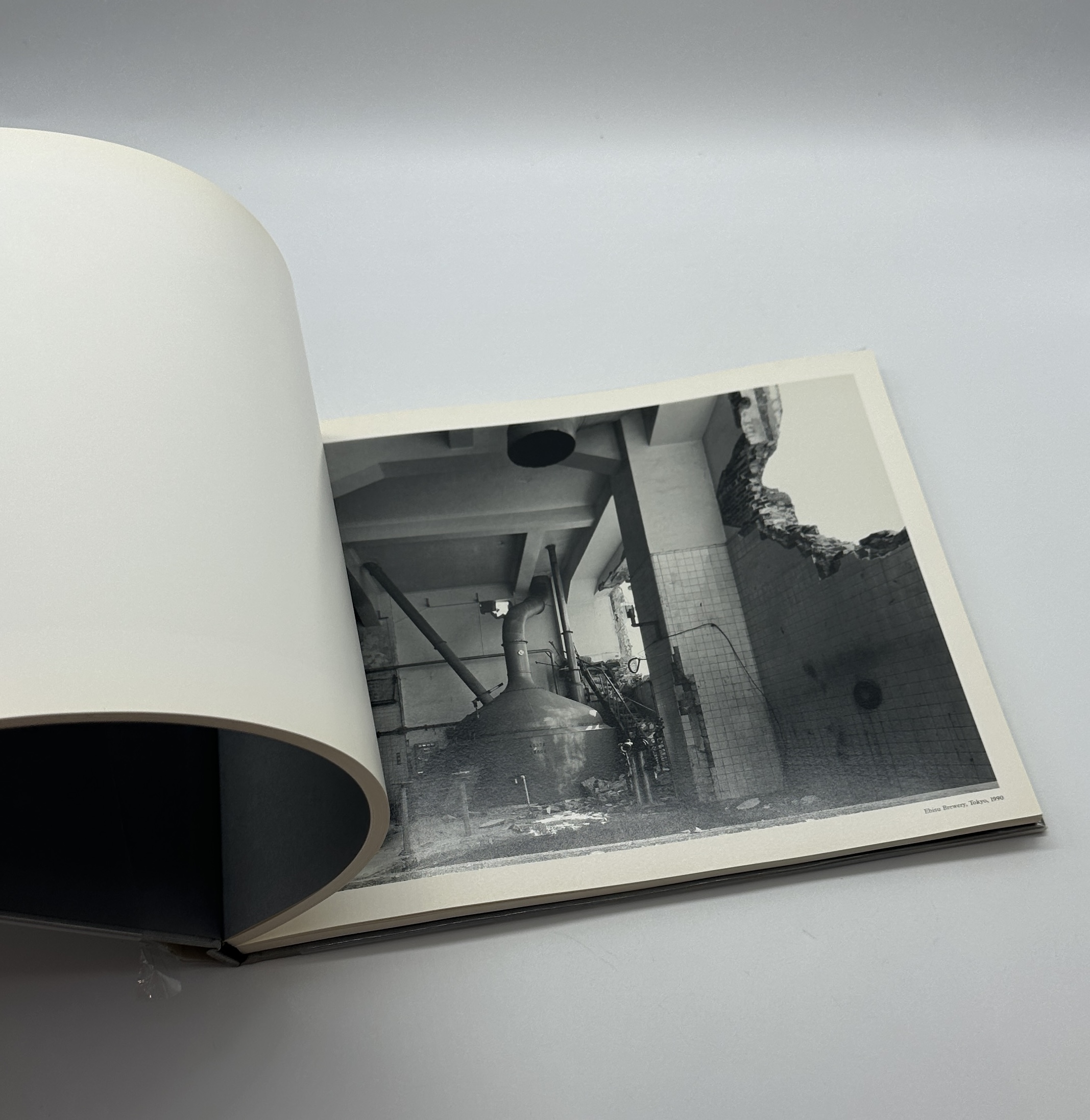 RYUJI MIYAMOTO - 画像 (5)