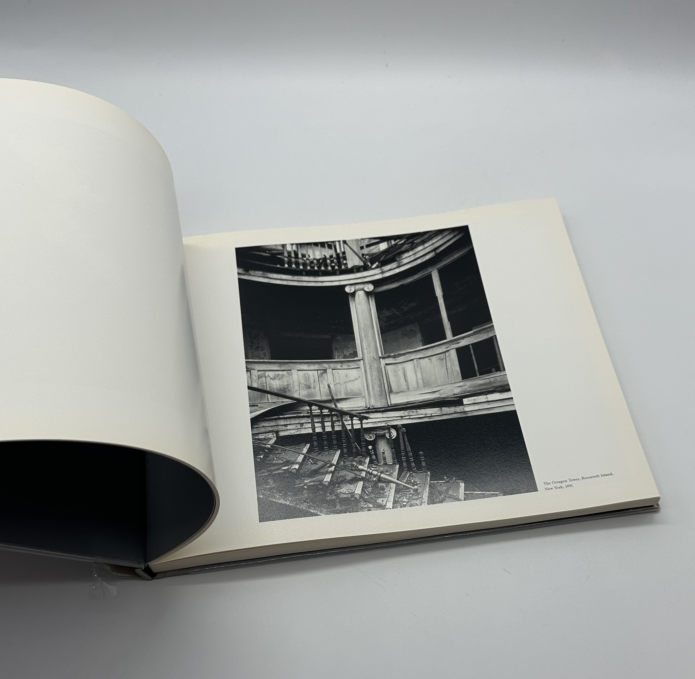 RYUJI MIYAMOTO - 画像 (2)