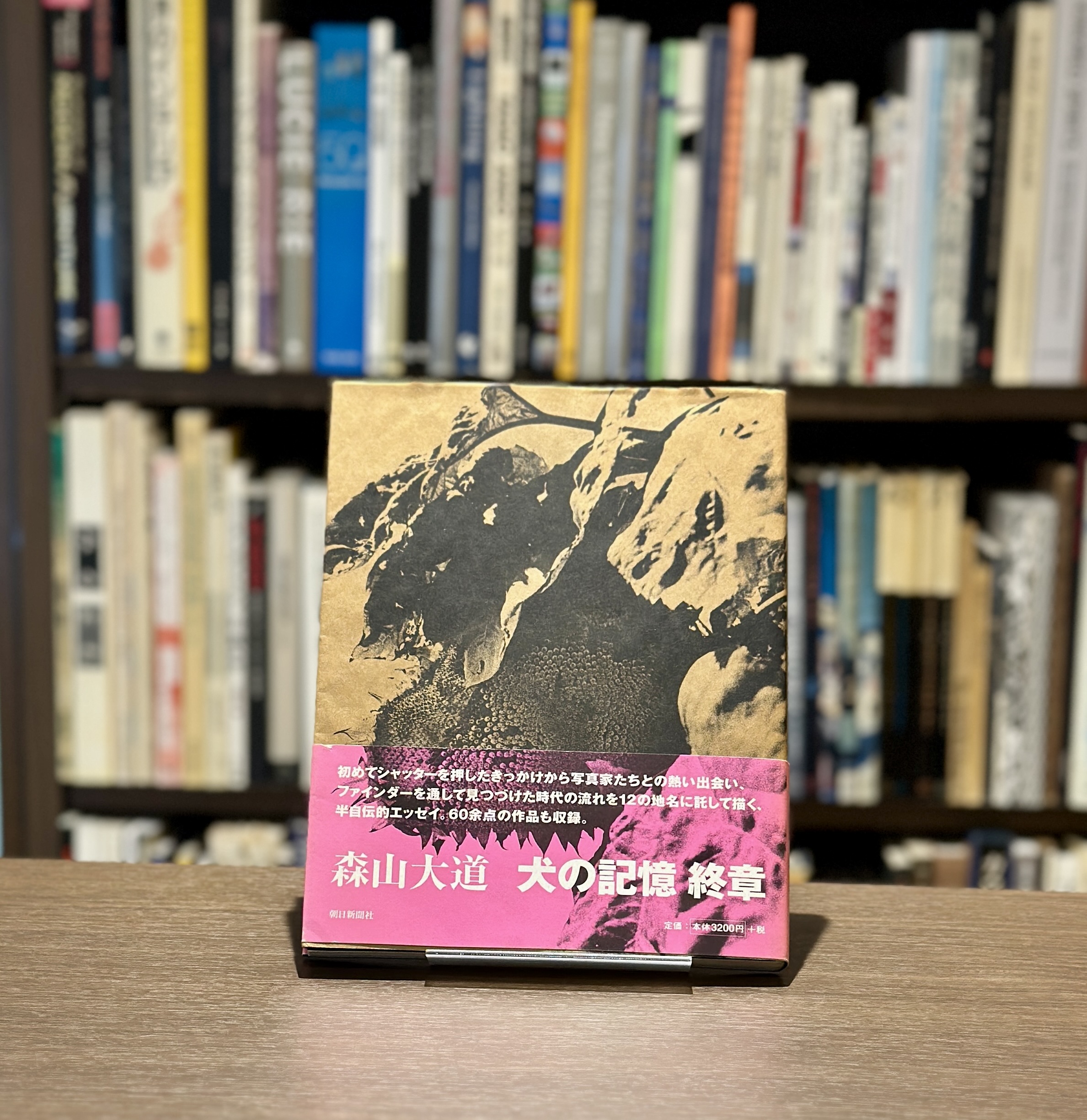 犬の記憶　終章 - 画像 (1)