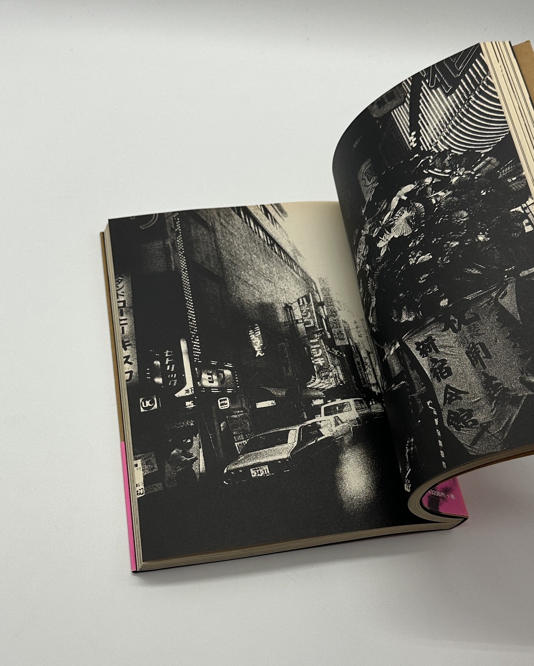 犬の記憶　終章 - 画像 (5)