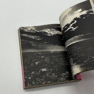 犬の記憶　終章 - 画像 (3)