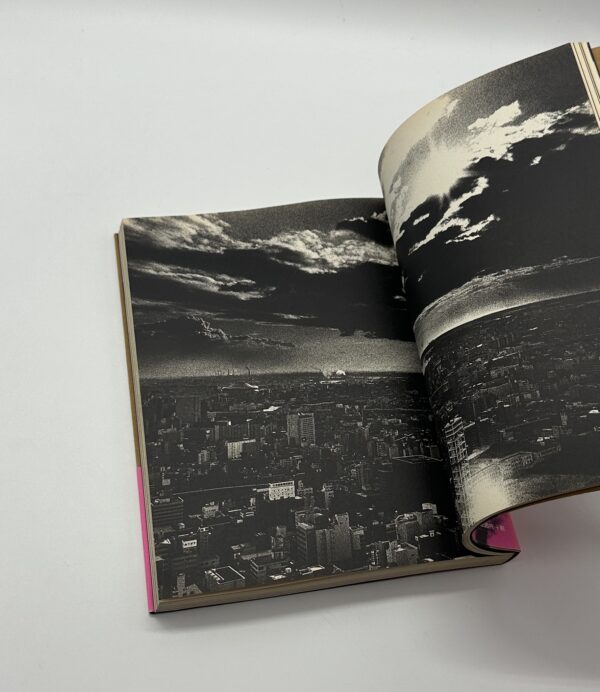 犬の記憶　終章