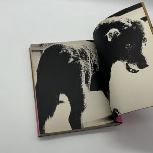 犬の記憶　終章 - 画像 (2)