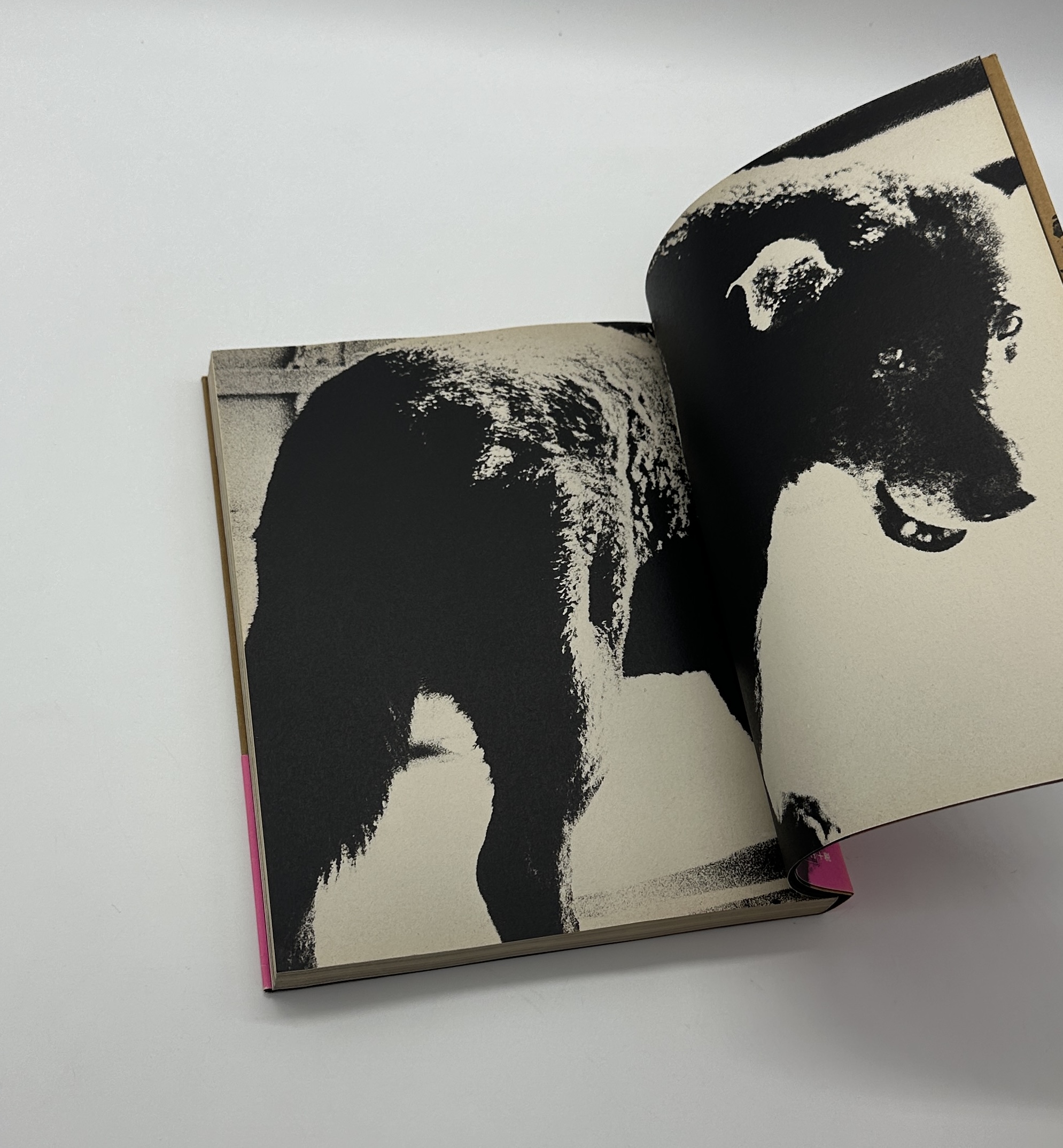 犬の記憶　終章 - 画像 (2)