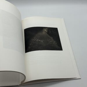 SON ALBUM - 画像 (7)