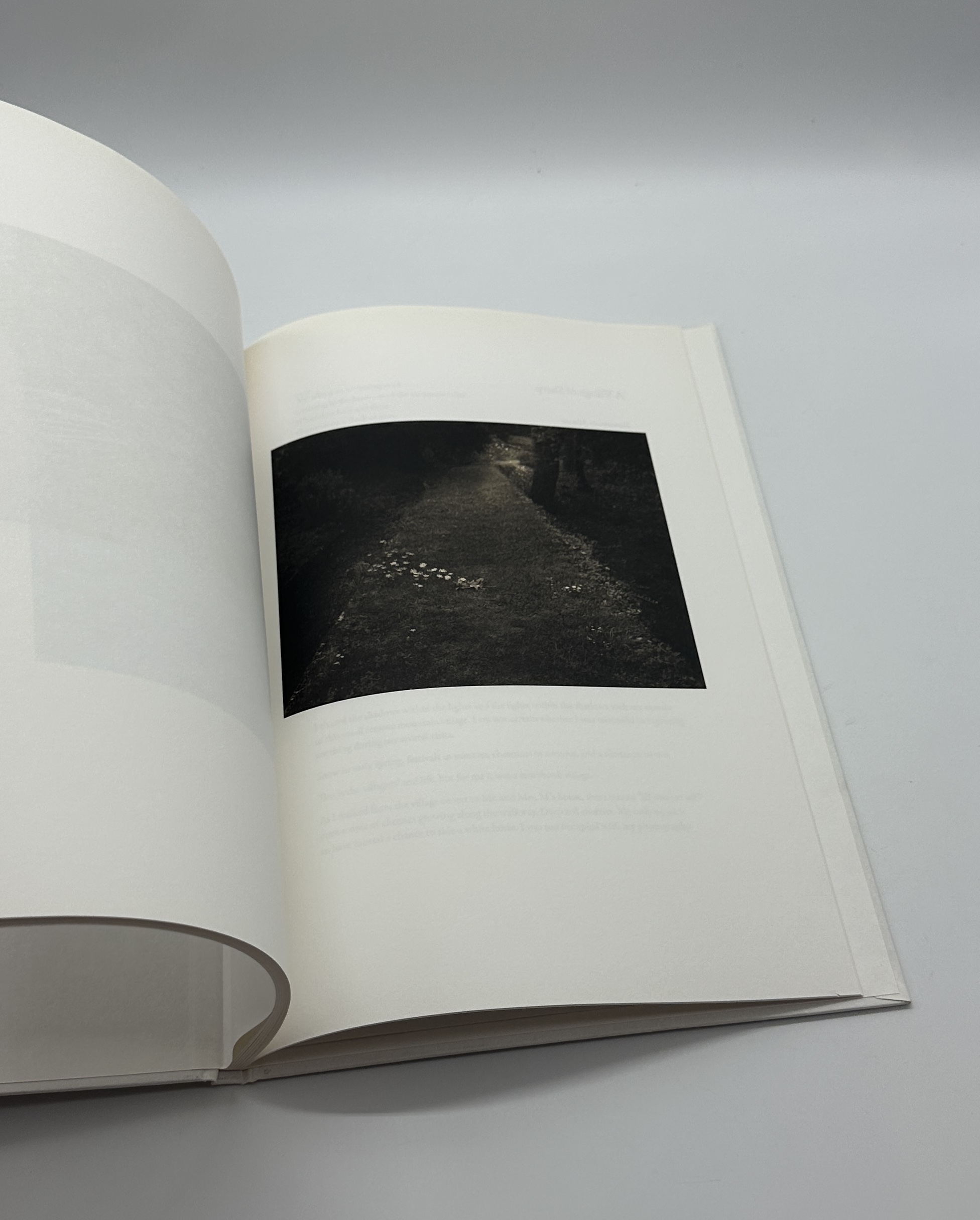 SON ALBUM - 画像 (7)