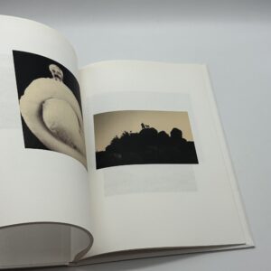 SON ALBUM - 画像 (6)