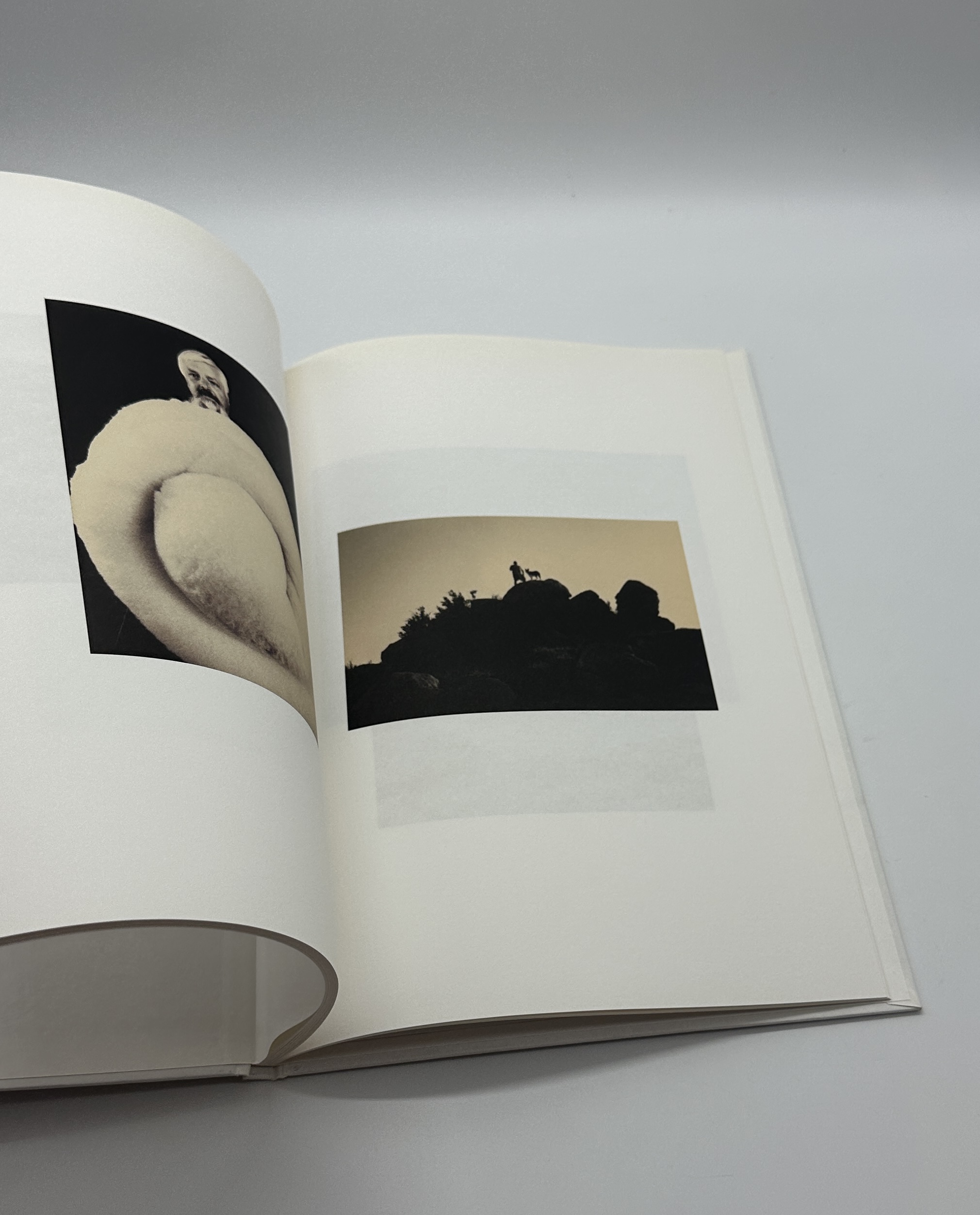 SON ALBUM - 画像 (6)