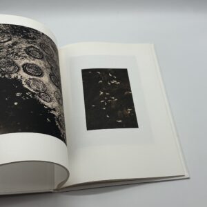 SON ALBUM - 画像 (5)