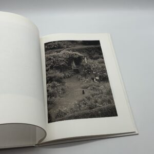 SON ALBUM - 画像 (4)