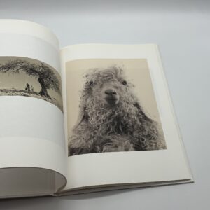 SON ALBUM - 画像 (3)