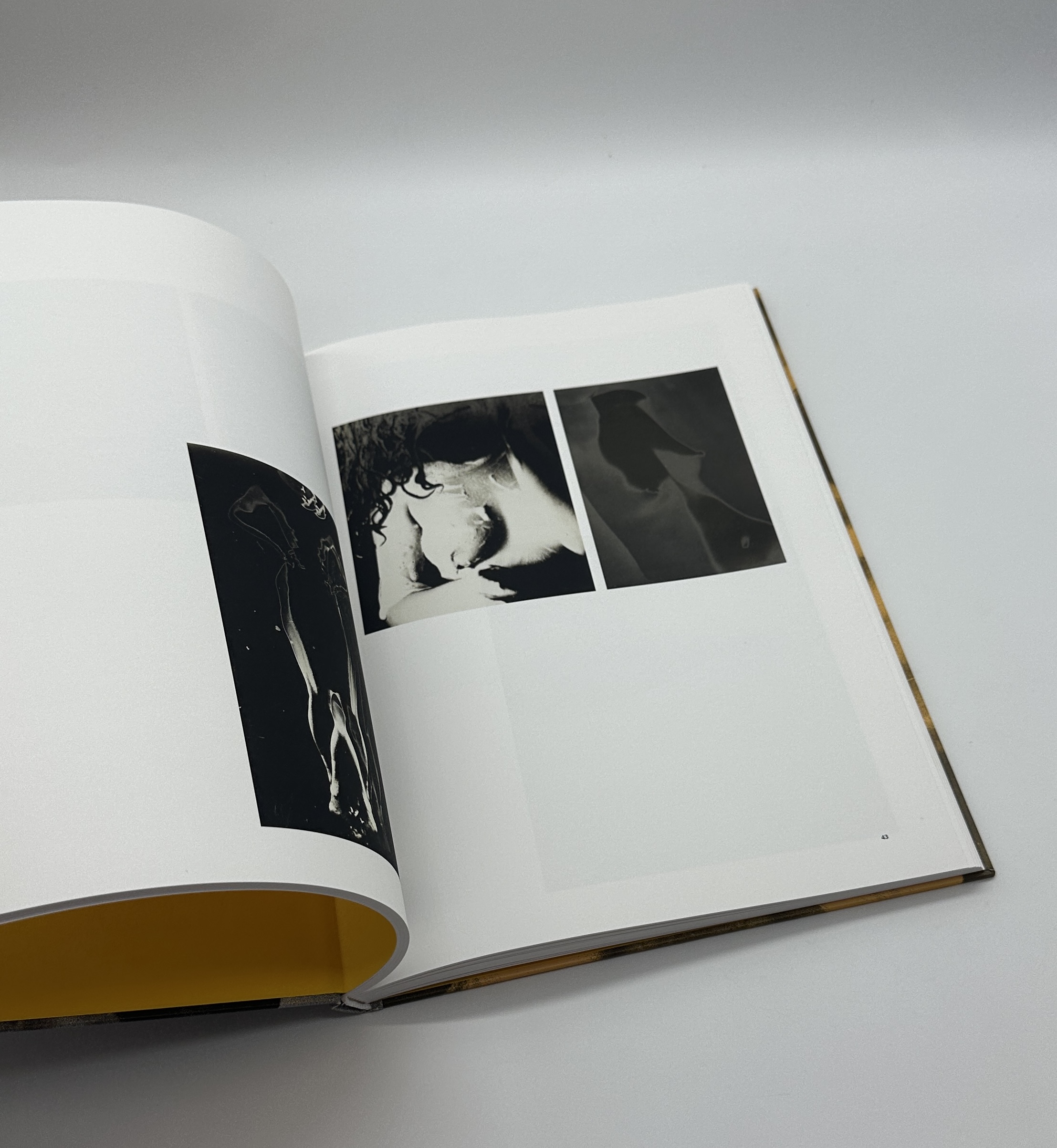 only photography - 画像 (4)