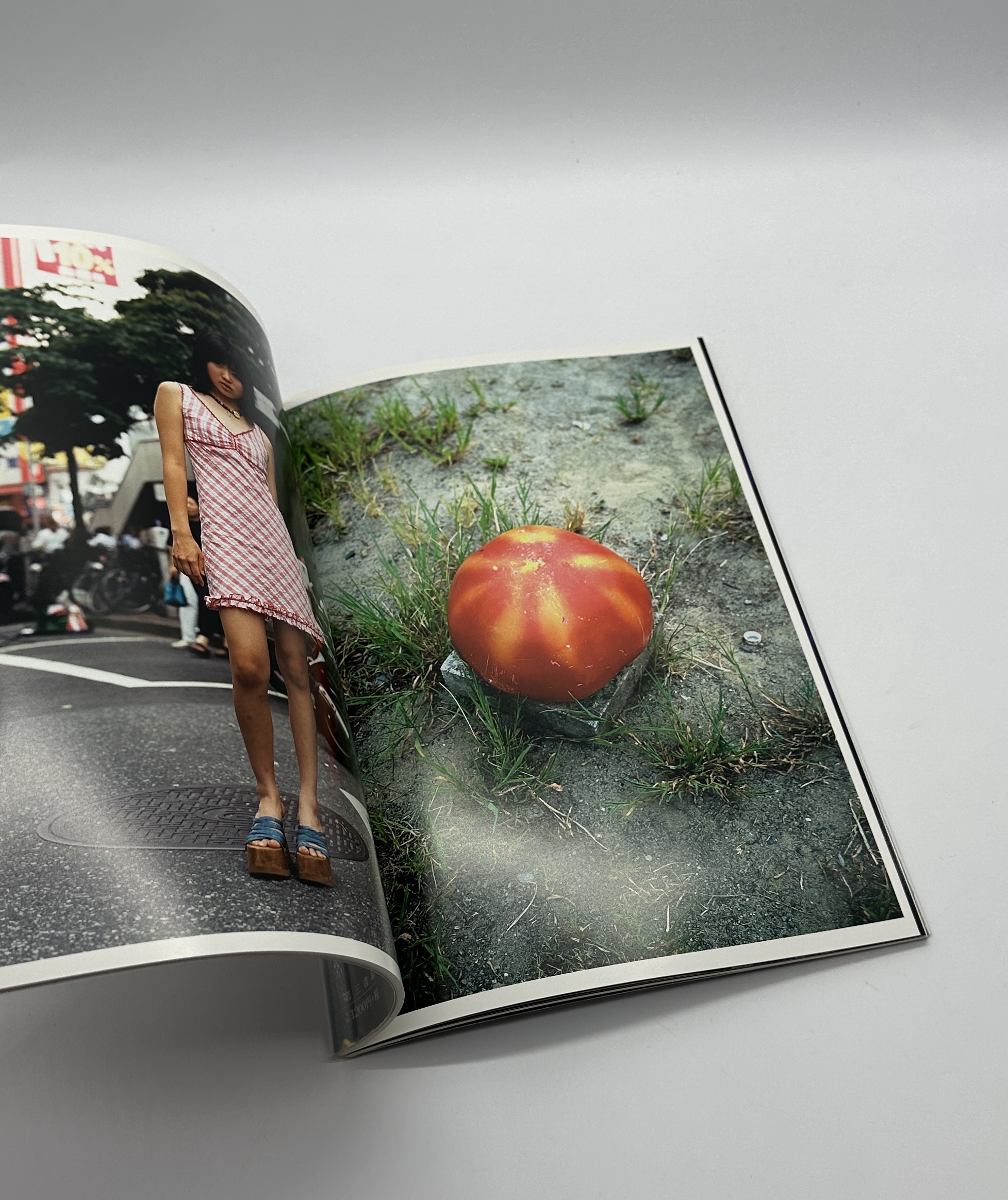 タマシイのゆくえ - 画像 (5)