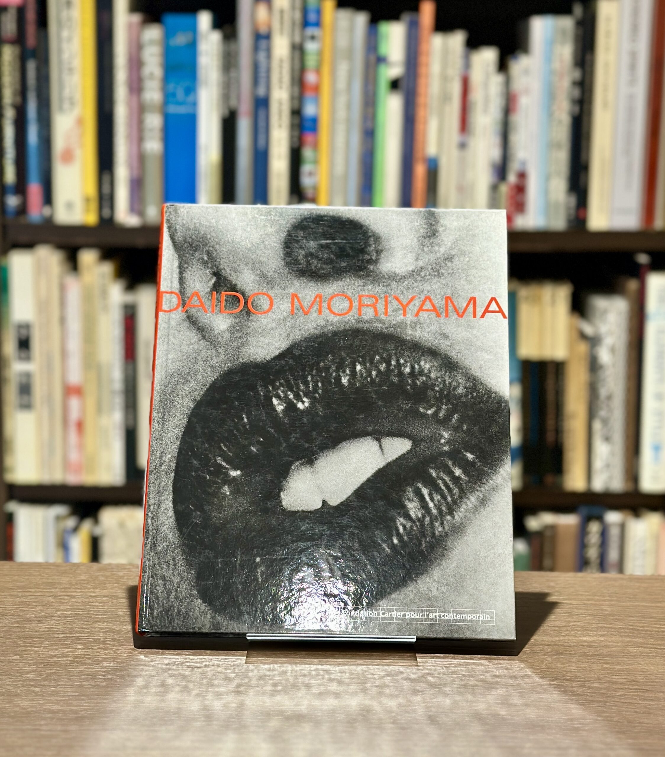 DAIDO MORIYAMA - 画像 (1)