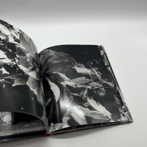 DAIDO MORIYAMA - 画像 (6)