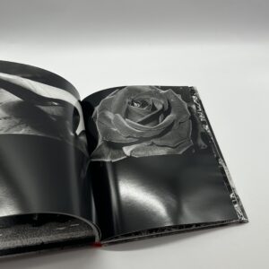 DAIDO MORIYAMA - 画像 (5)