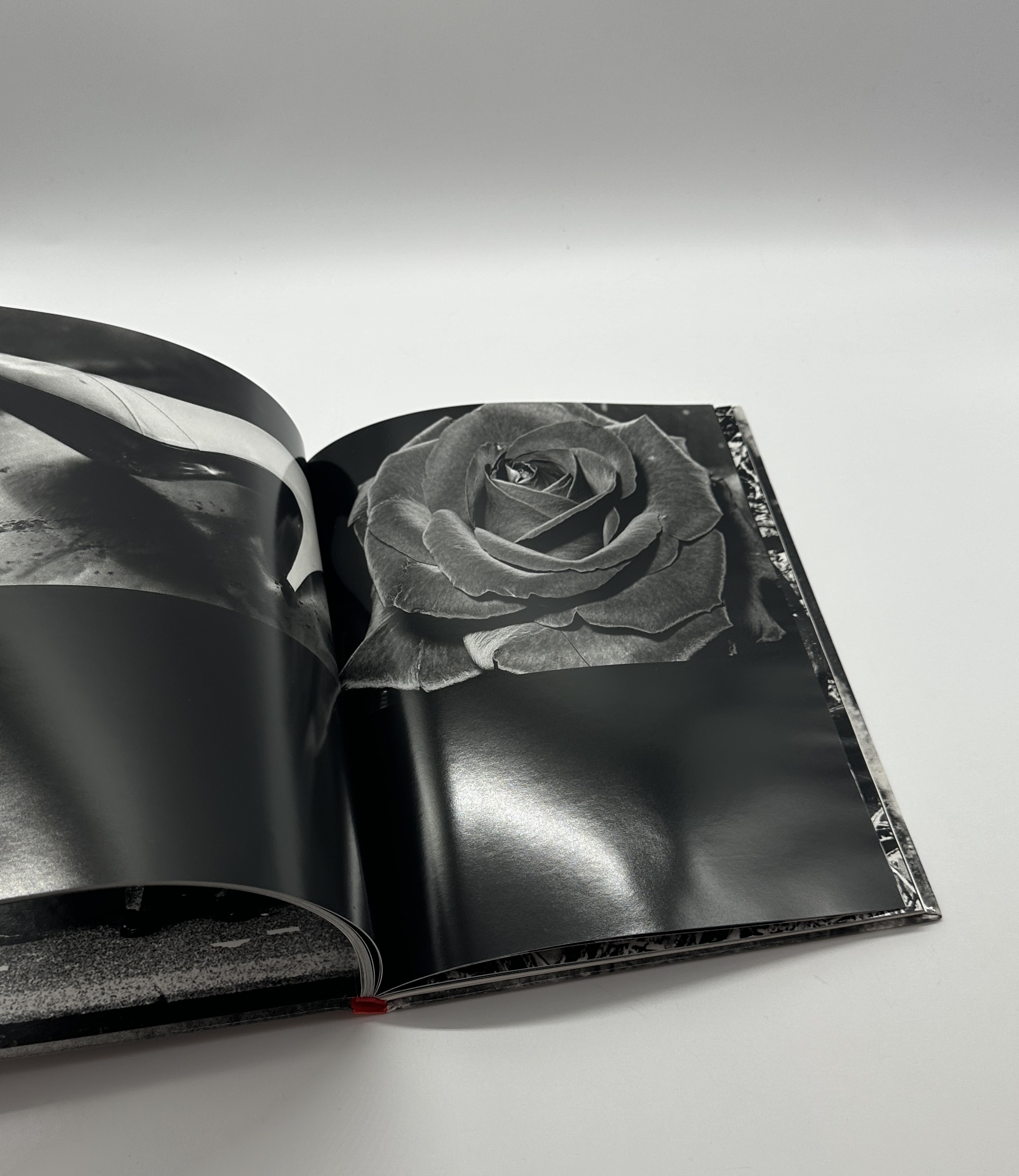 DAIDO MORIYAMA - 画像 (5)