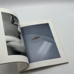 森山大道　1965〜 - 画像 (5)