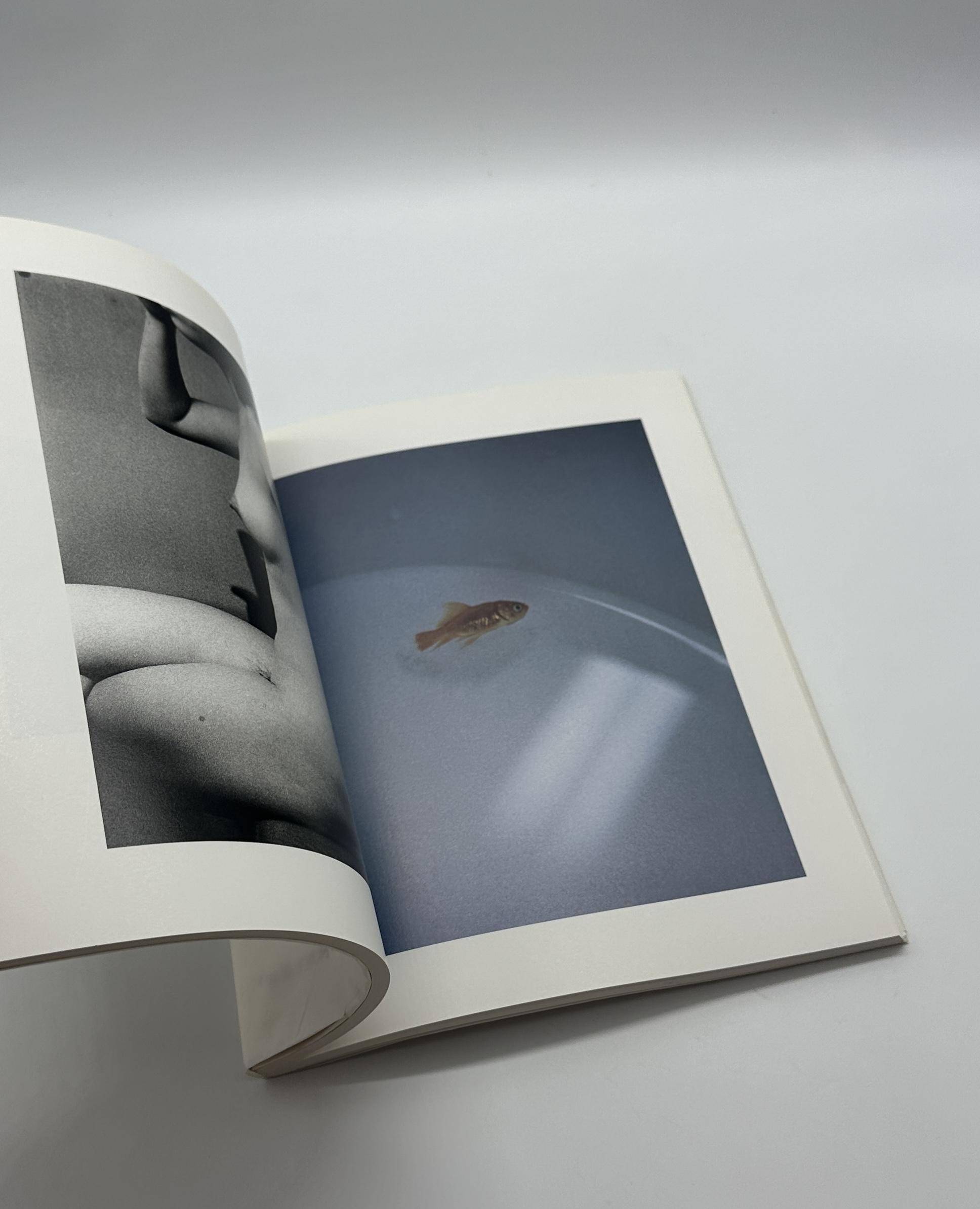 森山大道　1965〜 - 画像 (5)