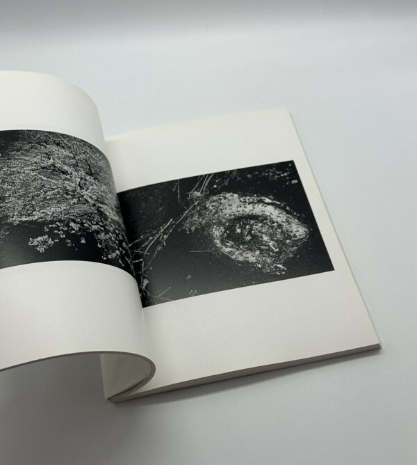 森山大道　1965〜