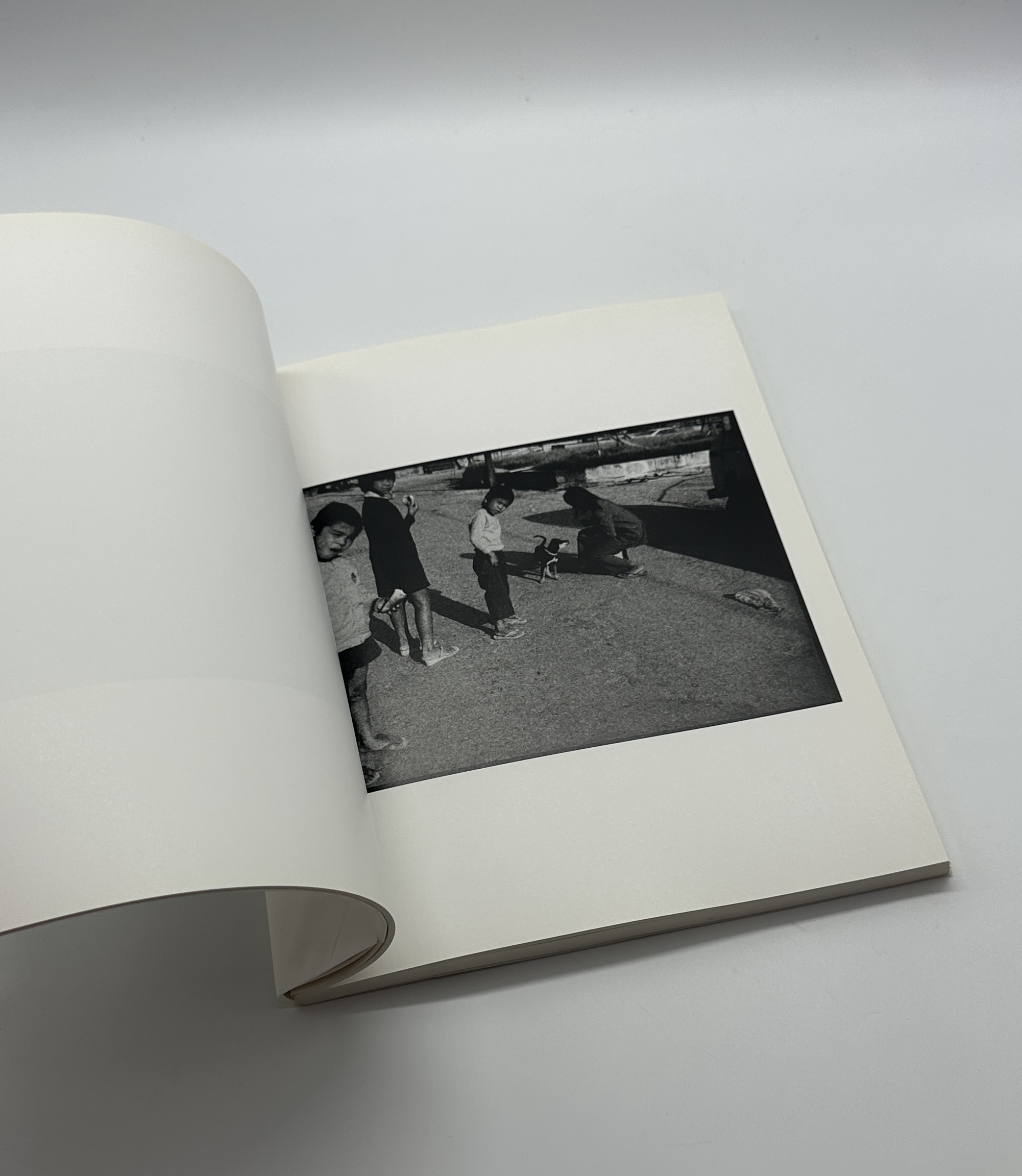 森山大道　1965〜 - 画像 (2)