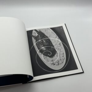 Electricite - 画像 (4)