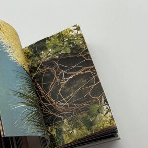 Jack Pierson - 画像 (2)