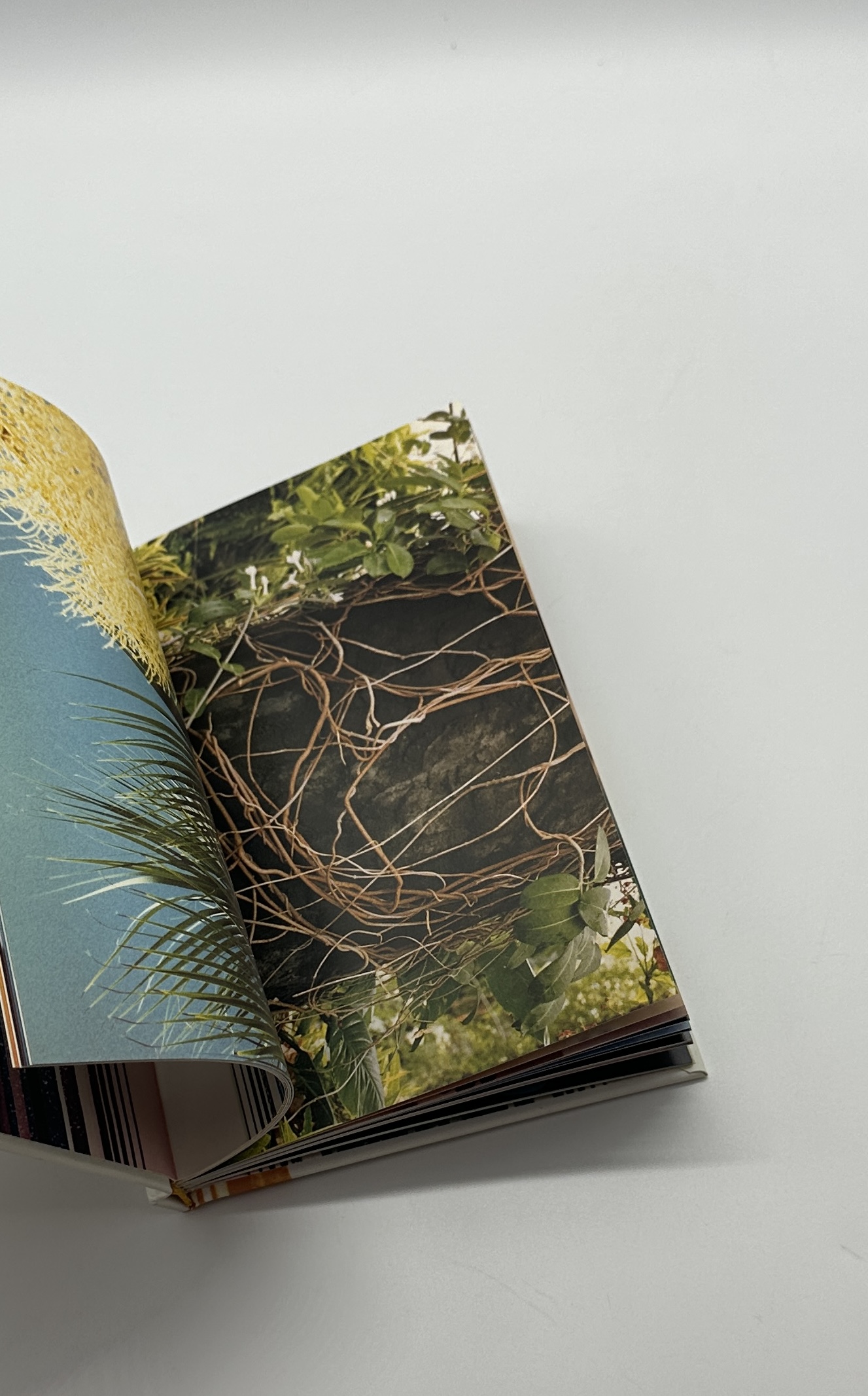 Jack Pierson - 画像 (2)