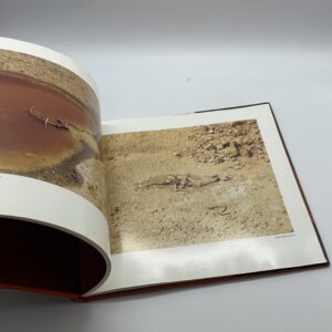 狂気の遺産 - 画像 (5)