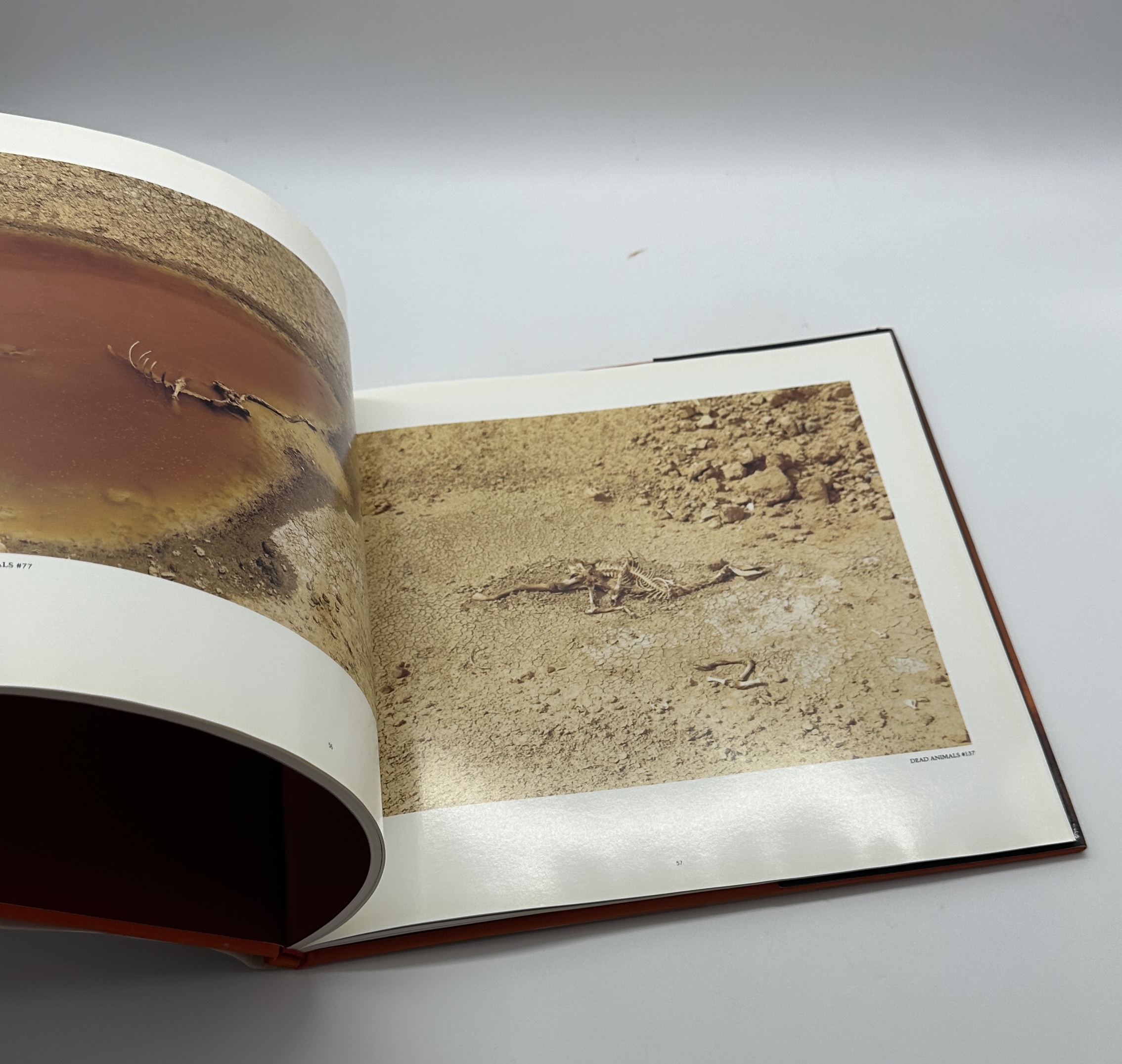 狂気の遺産 - 画像 (5)