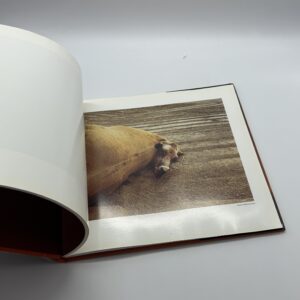 狂気の遺産 - 画像 (4)