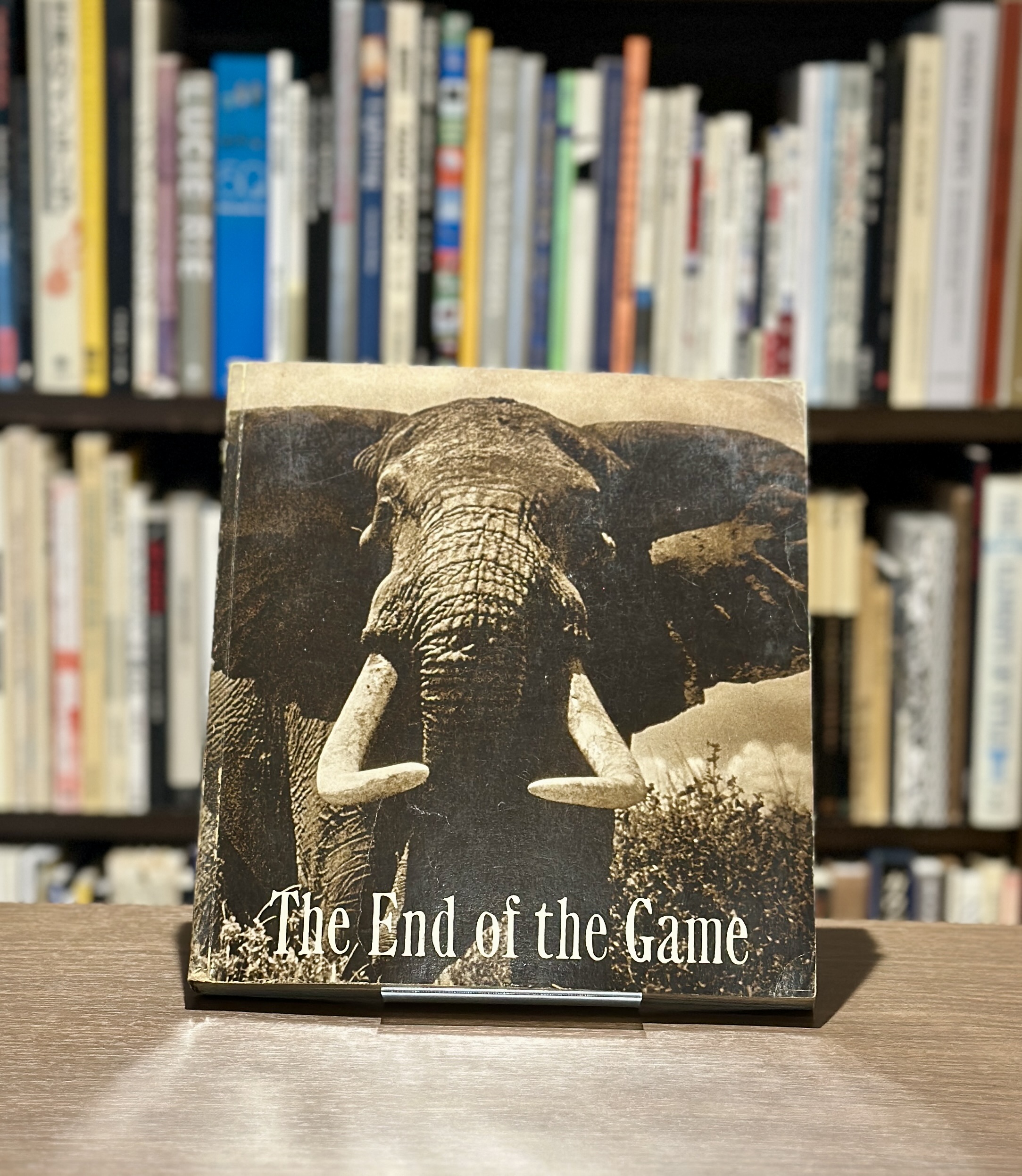 The End of the Game - 画像 (1)