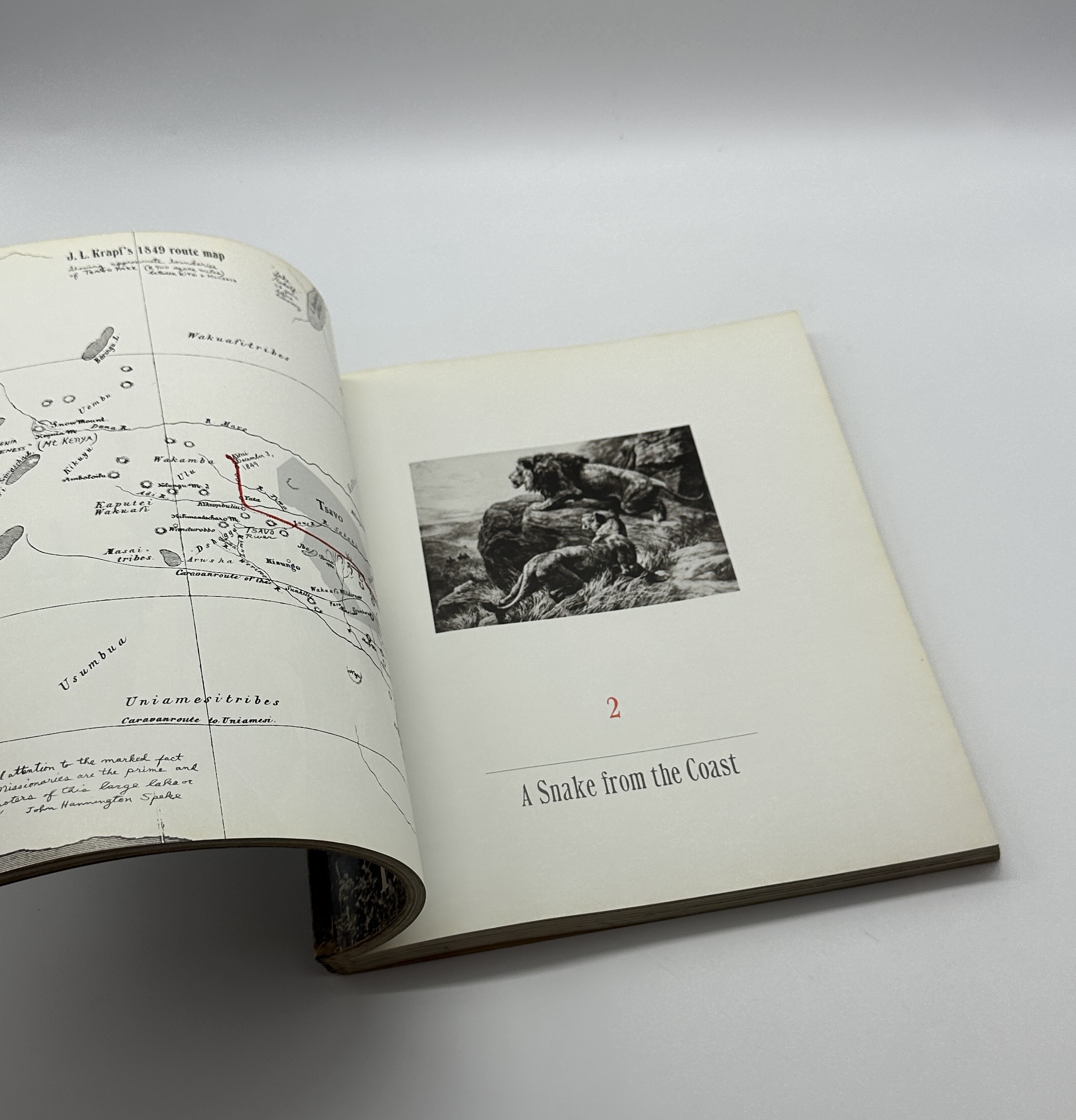 The End of the Game - 画像 (6)