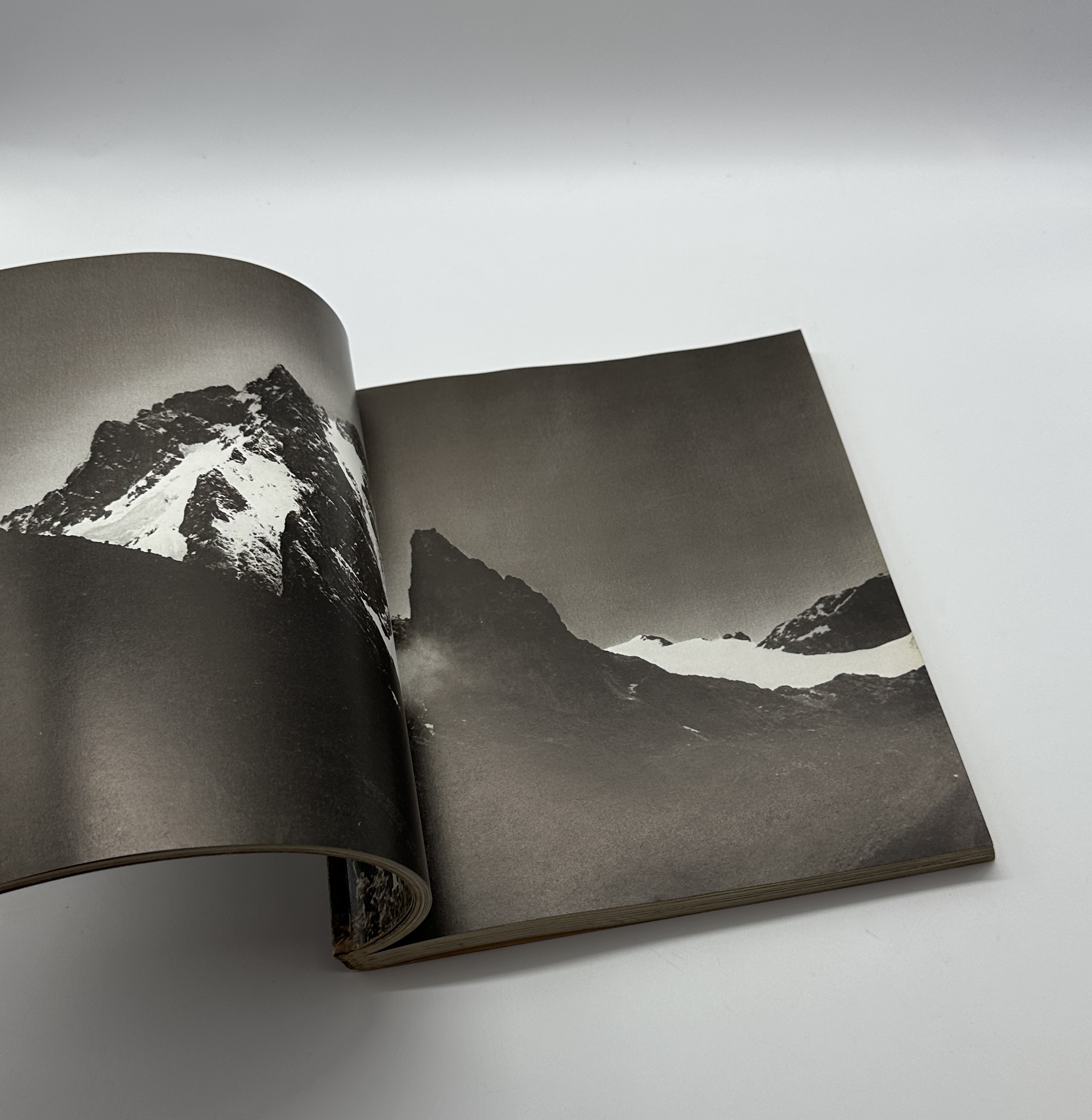 The End of the Game - 画像 (5)