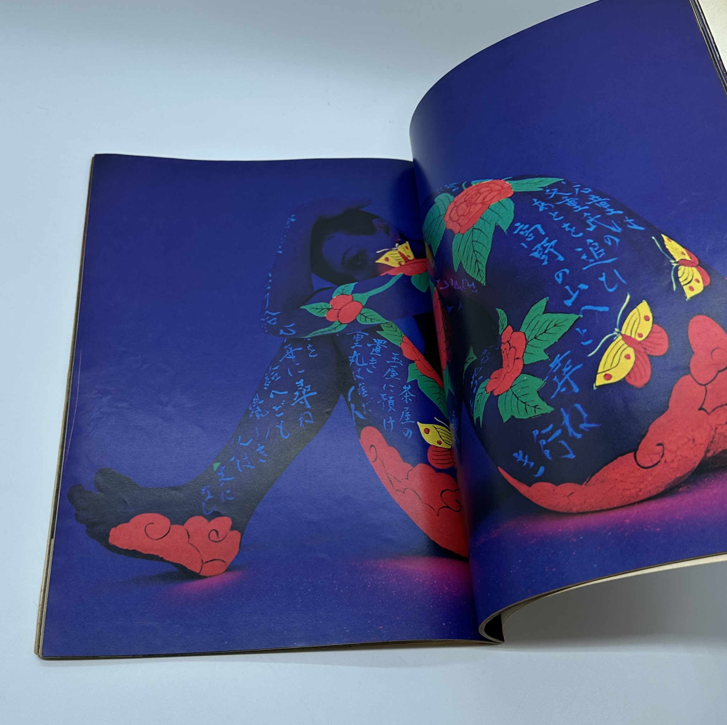 篠山紀信と28人のおんなたち - 画像 (3)