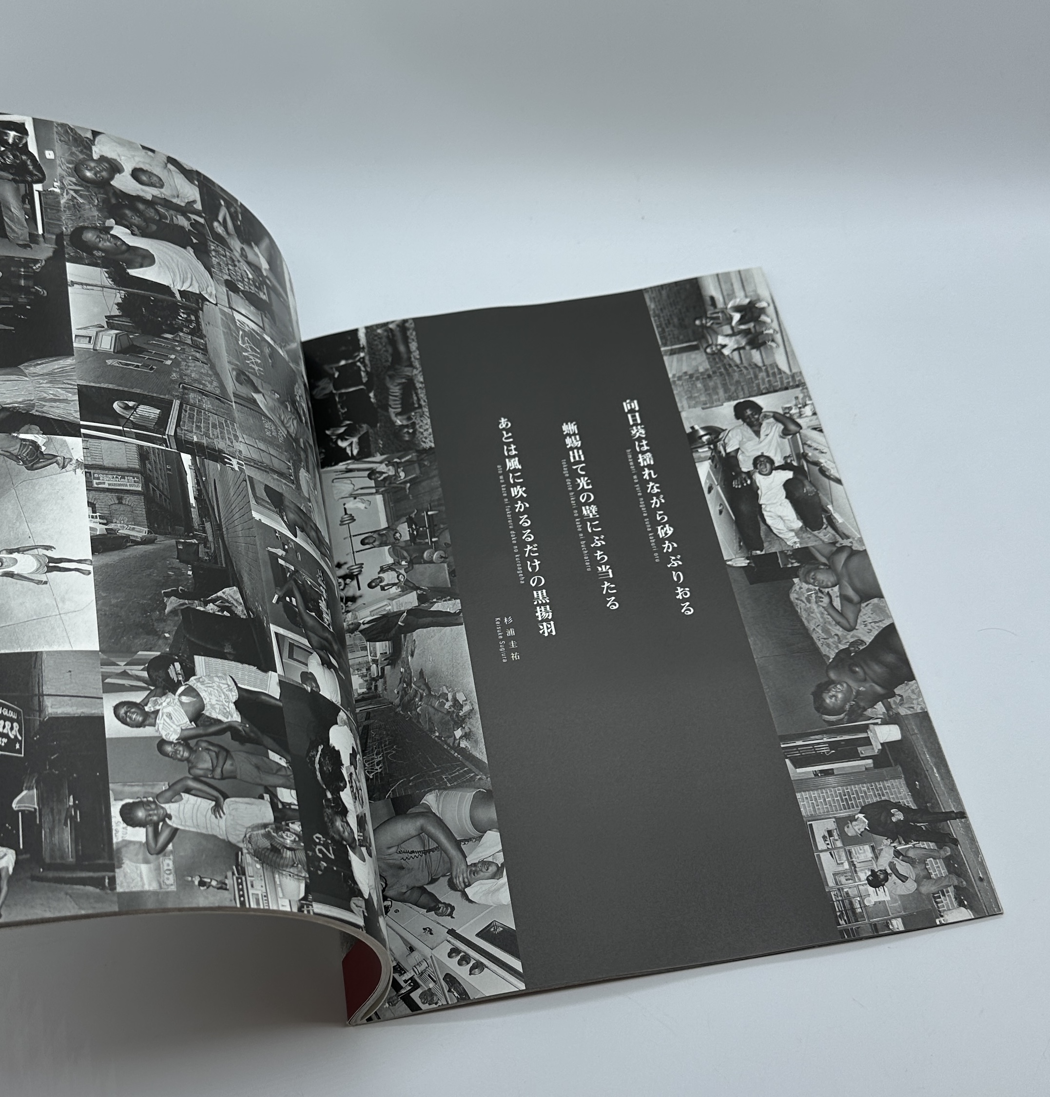 『署名入』LIFE IN PHILLY - 画像 (5)