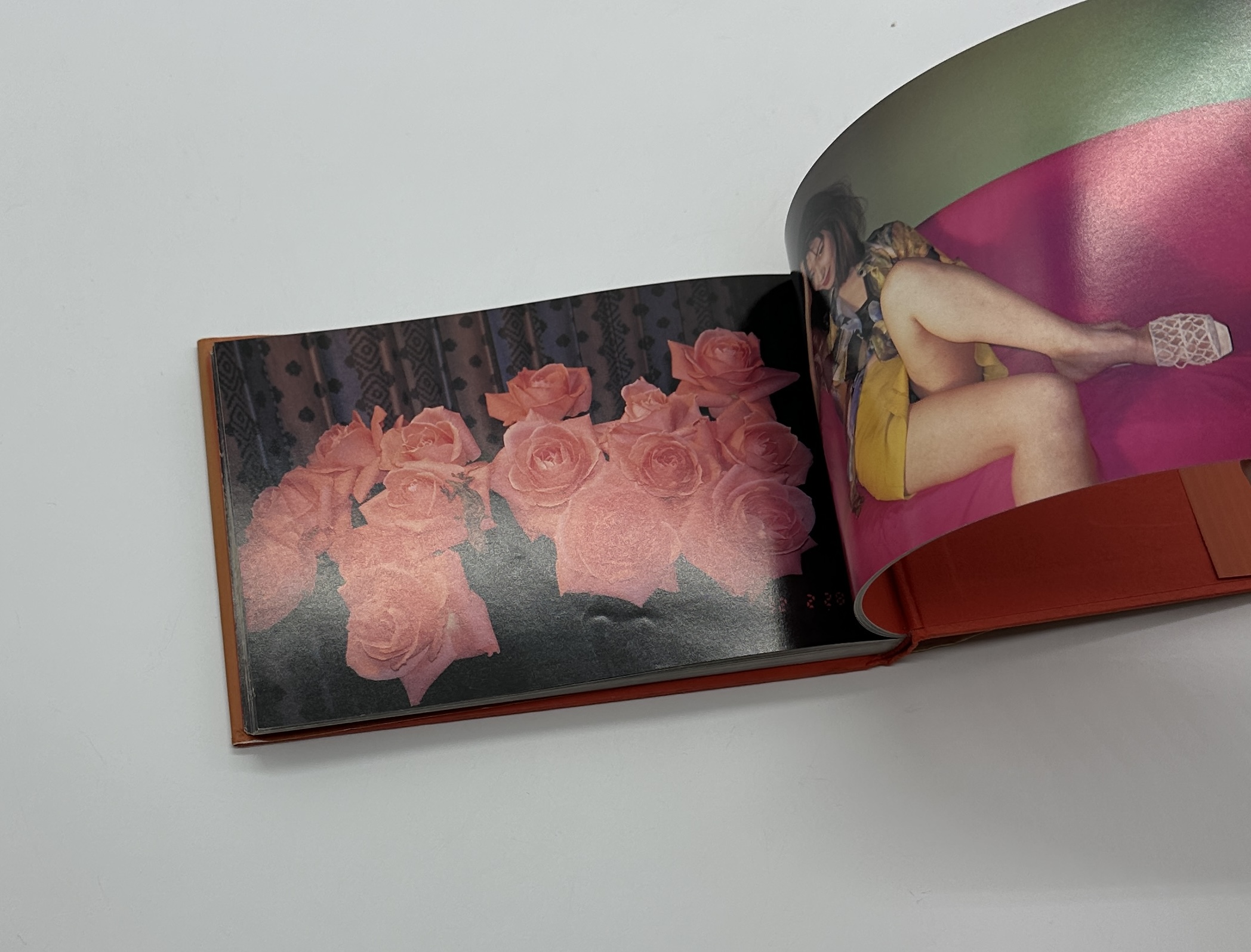 写狂人色日記 - 画像 (3)