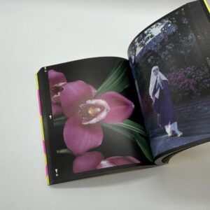 6 X 7 反撃 - 画像 (5)